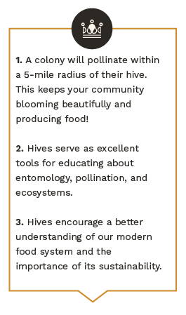 Reasons why beekeeping benefits your community.