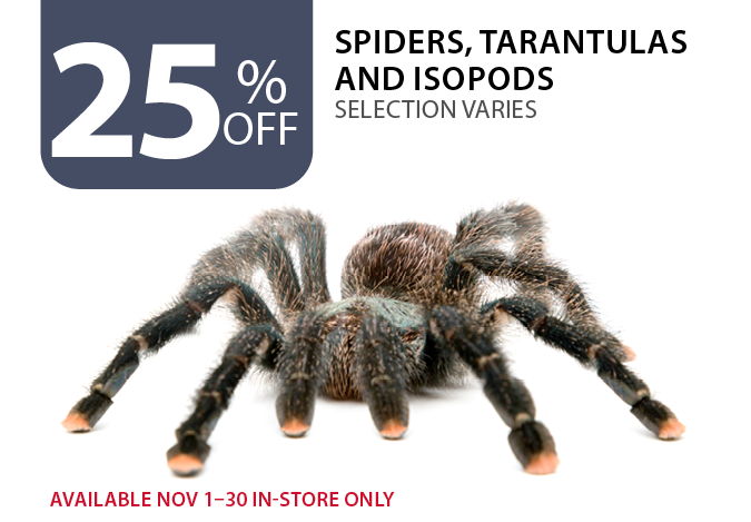 25% off Spiders, Tarantulas and Isopods. Available Nov 1–30 in-store only.
