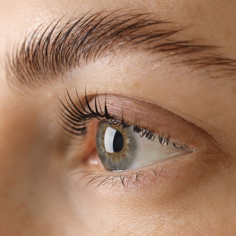 Close-up of a human eye with long eyelashes and defined eyebrow.