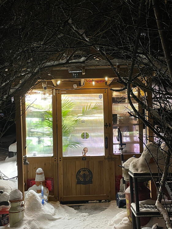 Wooden door with glass panels, surrounded by snow and branches at night.