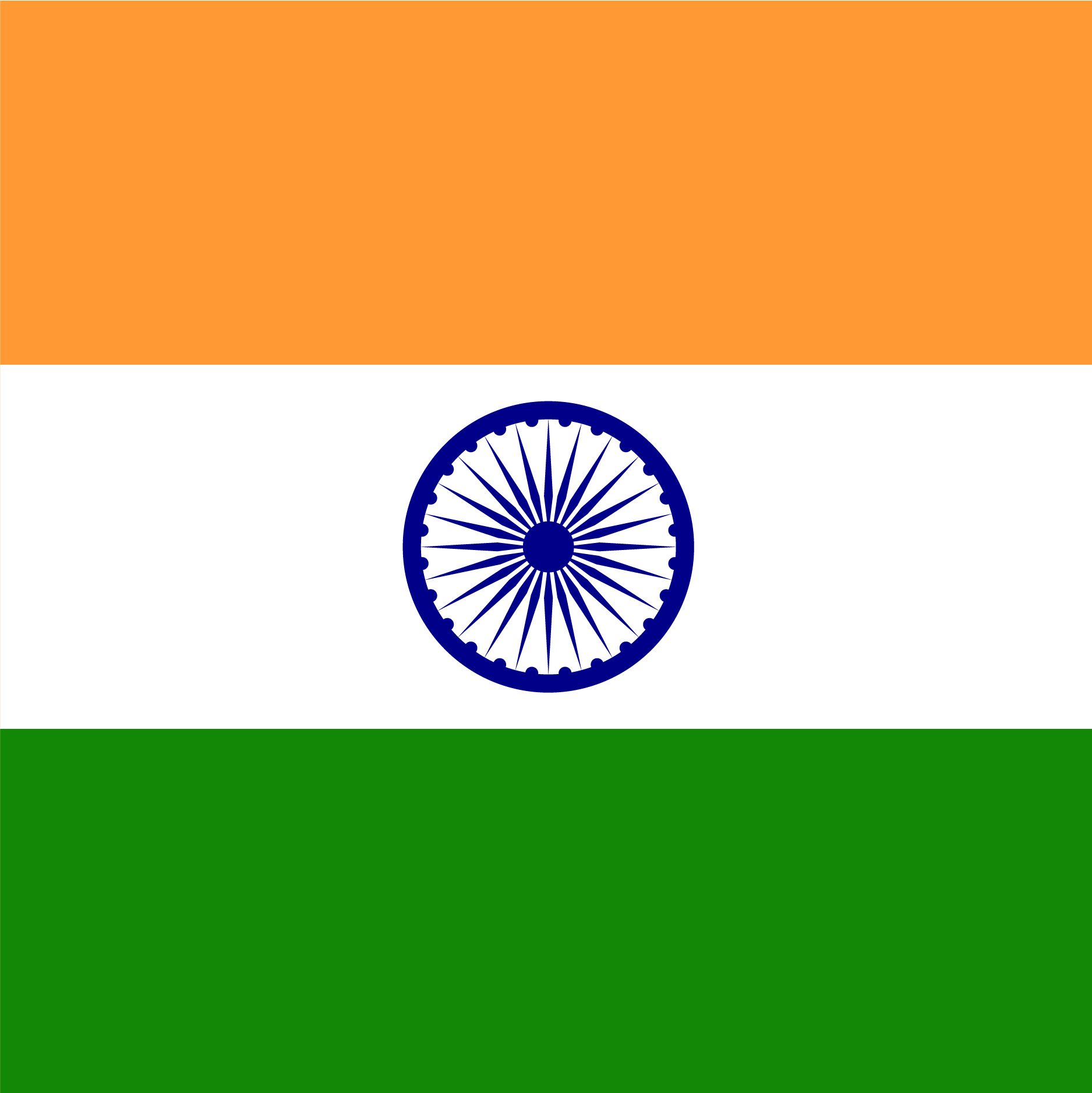 The India Flag 
