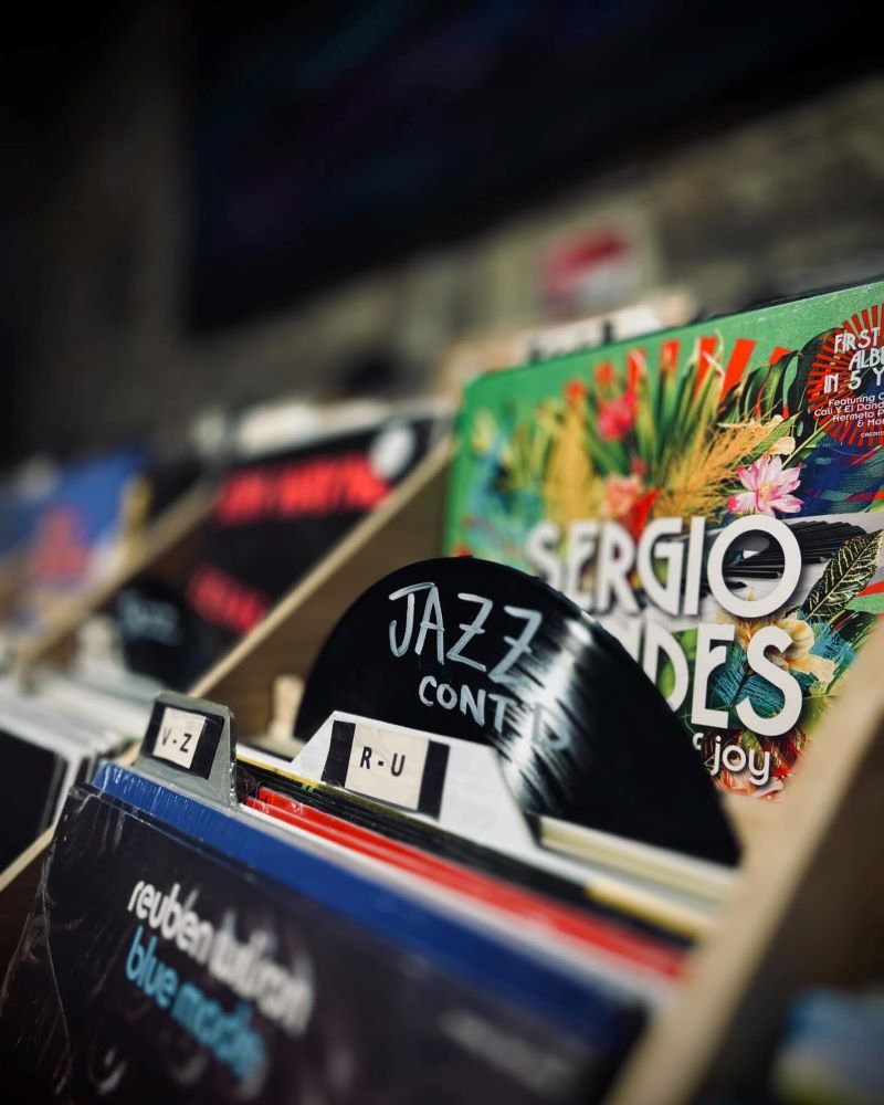 Vinyl records organized in a display, featuring 