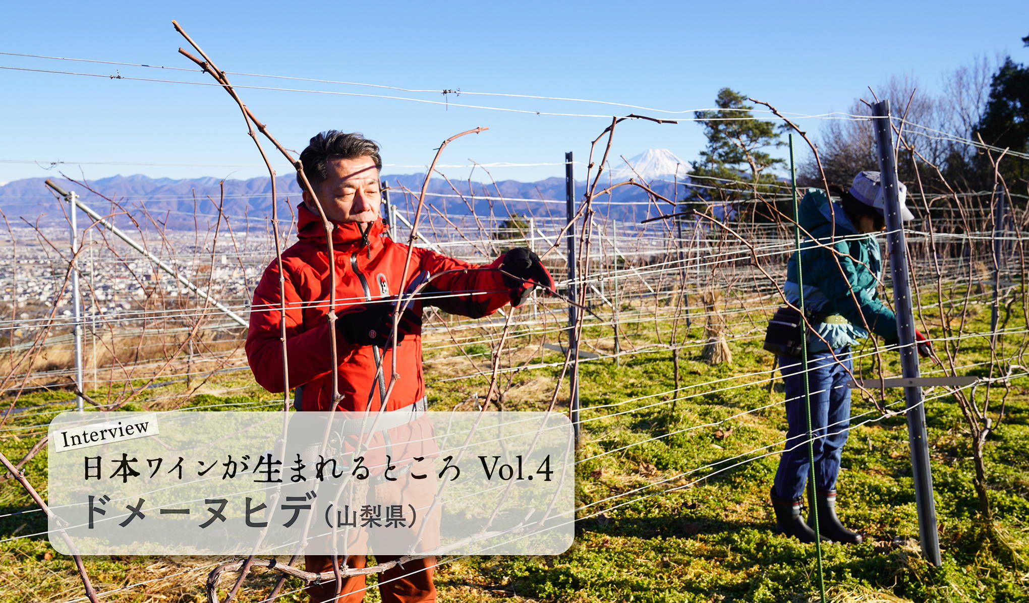 シリーズ・日本ワインが生まれるところ。Vol.4　山梨『ドメーヌヒデ』にインタビュー！