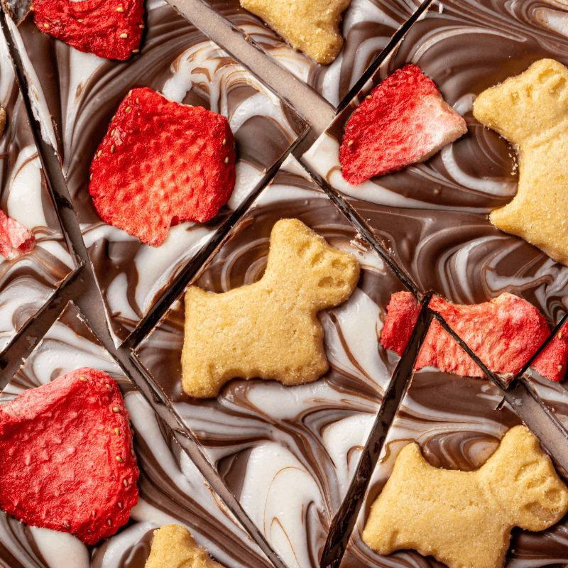 Chocolate bark topped with strawberries and dog-shaped cookies.