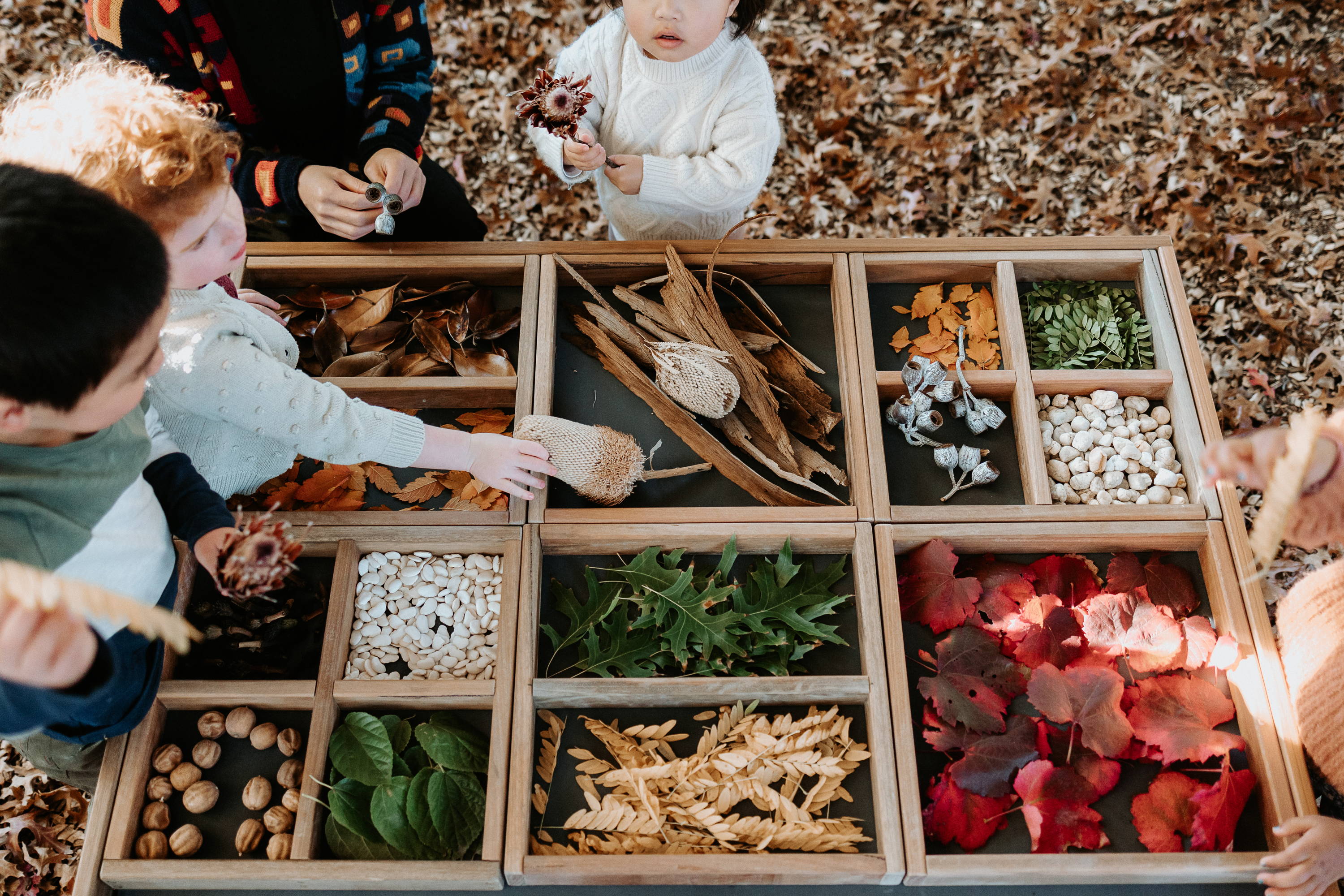 Provocations In Child Lead Play The Nurso