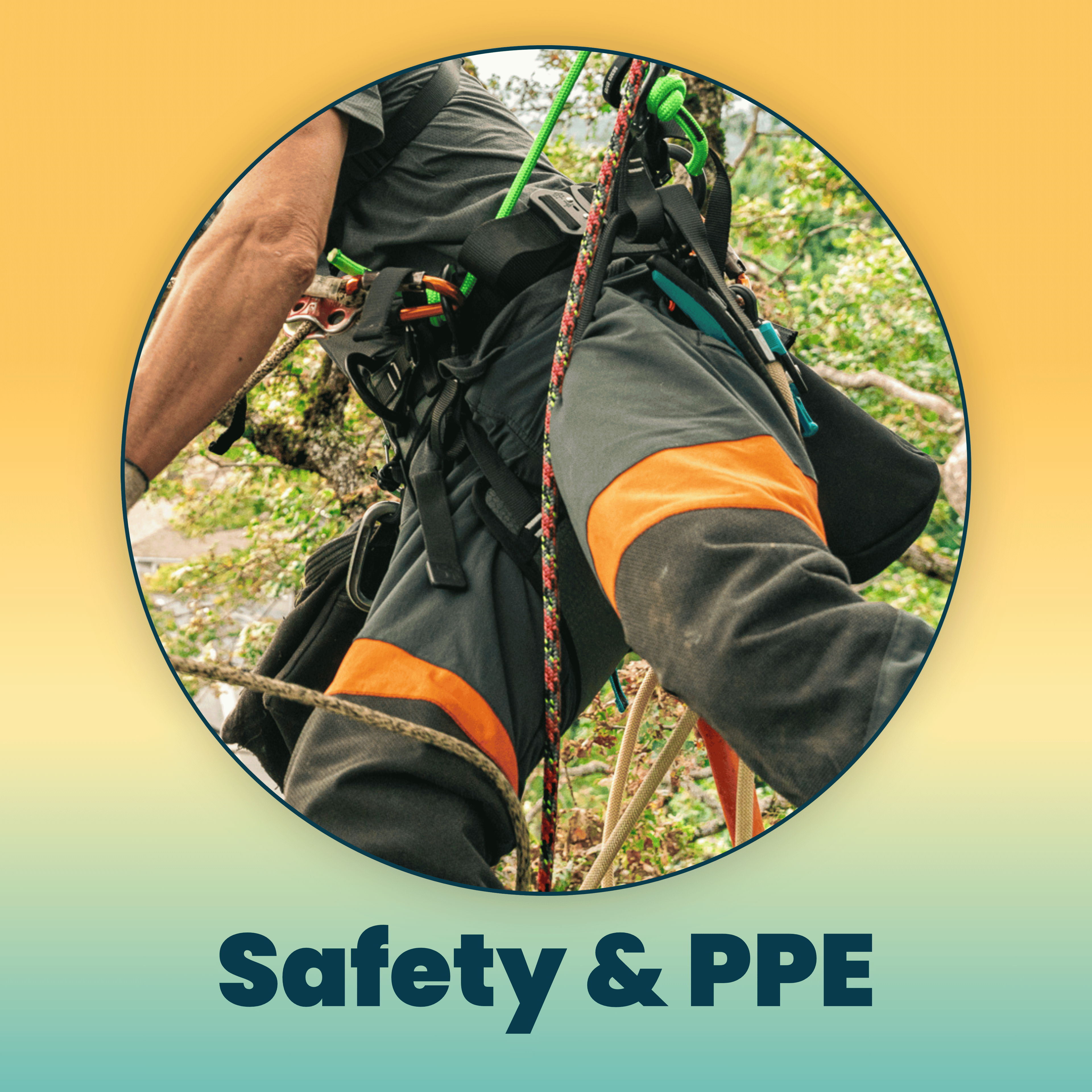 Person wearing safety gear and harness among trees, titled 
