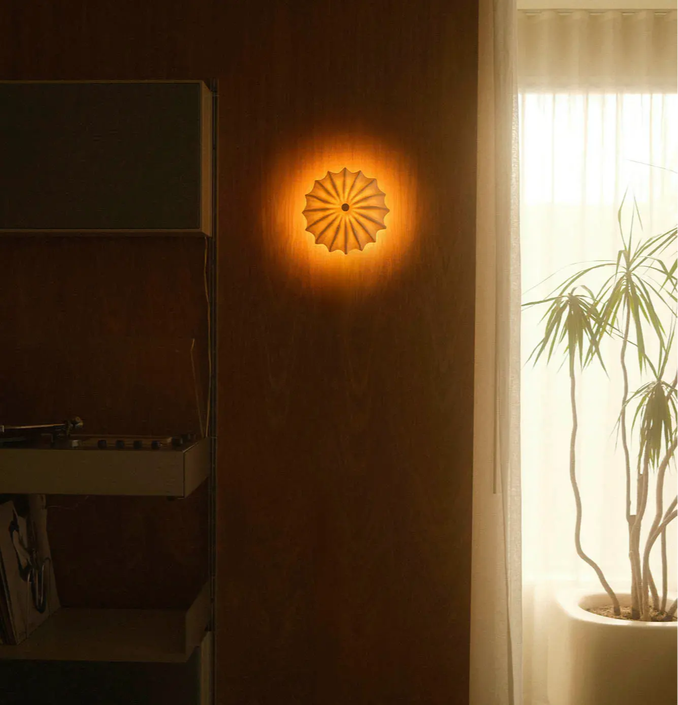 A wall with the Hexacorallia wall sconce and a nearby plant.