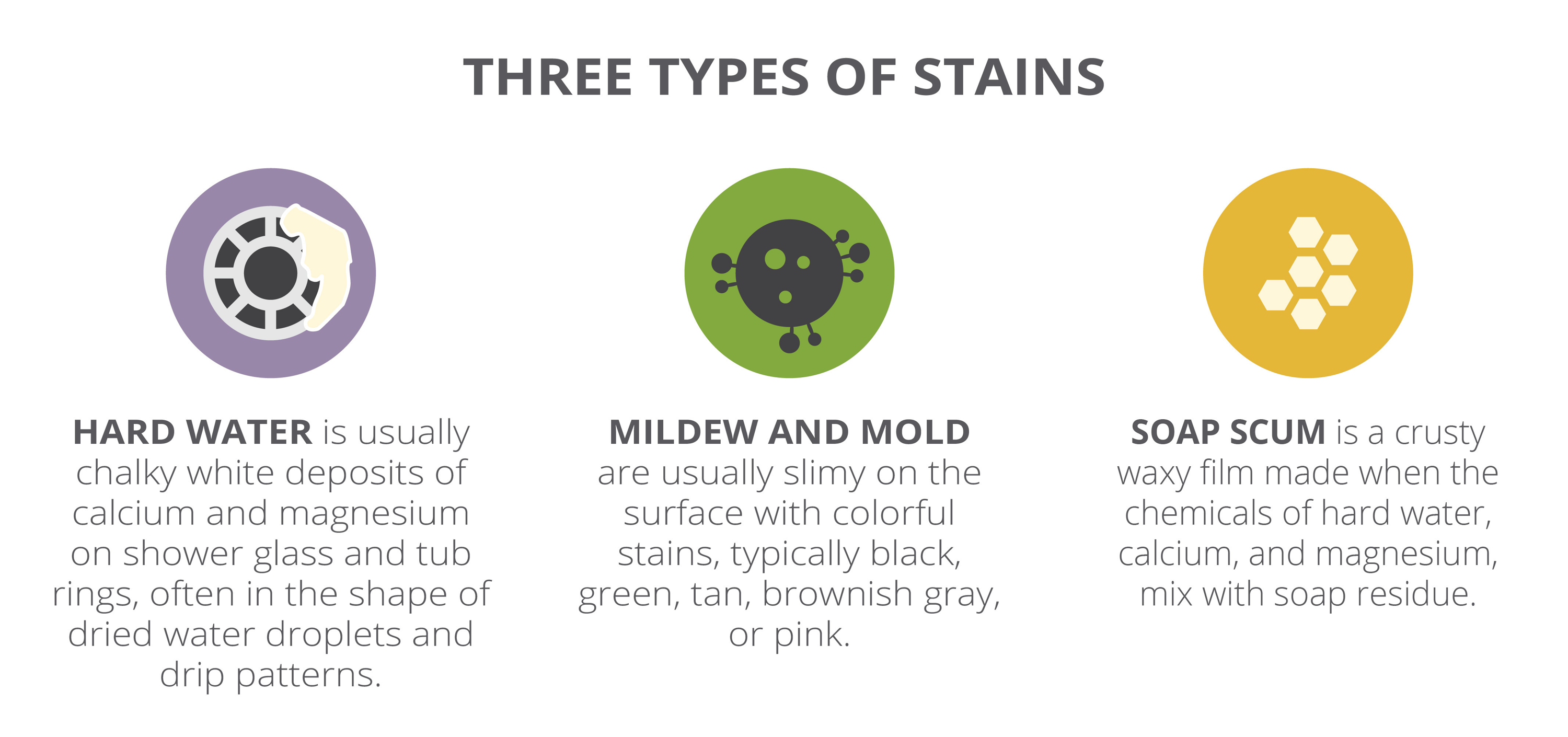 The three types of stains infographic