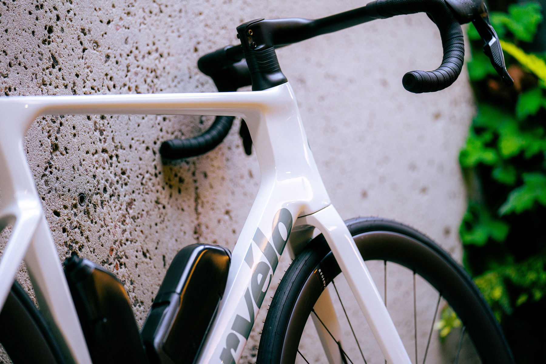 Close-up of a bicycle leaning against a textured wall with greenery.
