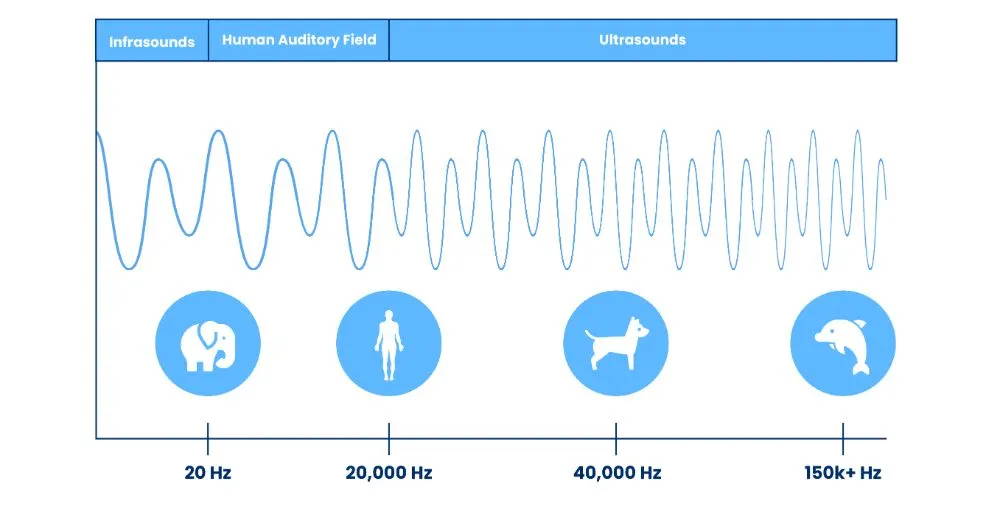 Low Mid And High Frequency Sounds And Their Effects 51 OFF