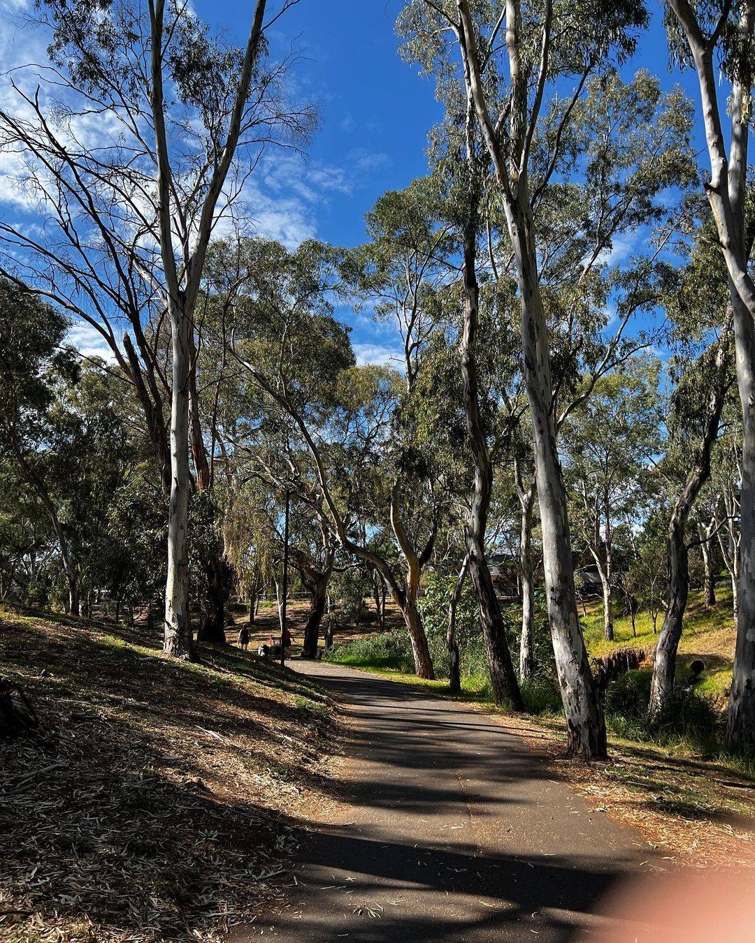 River Torrens Linear Trail, Best walks in Adelaide
