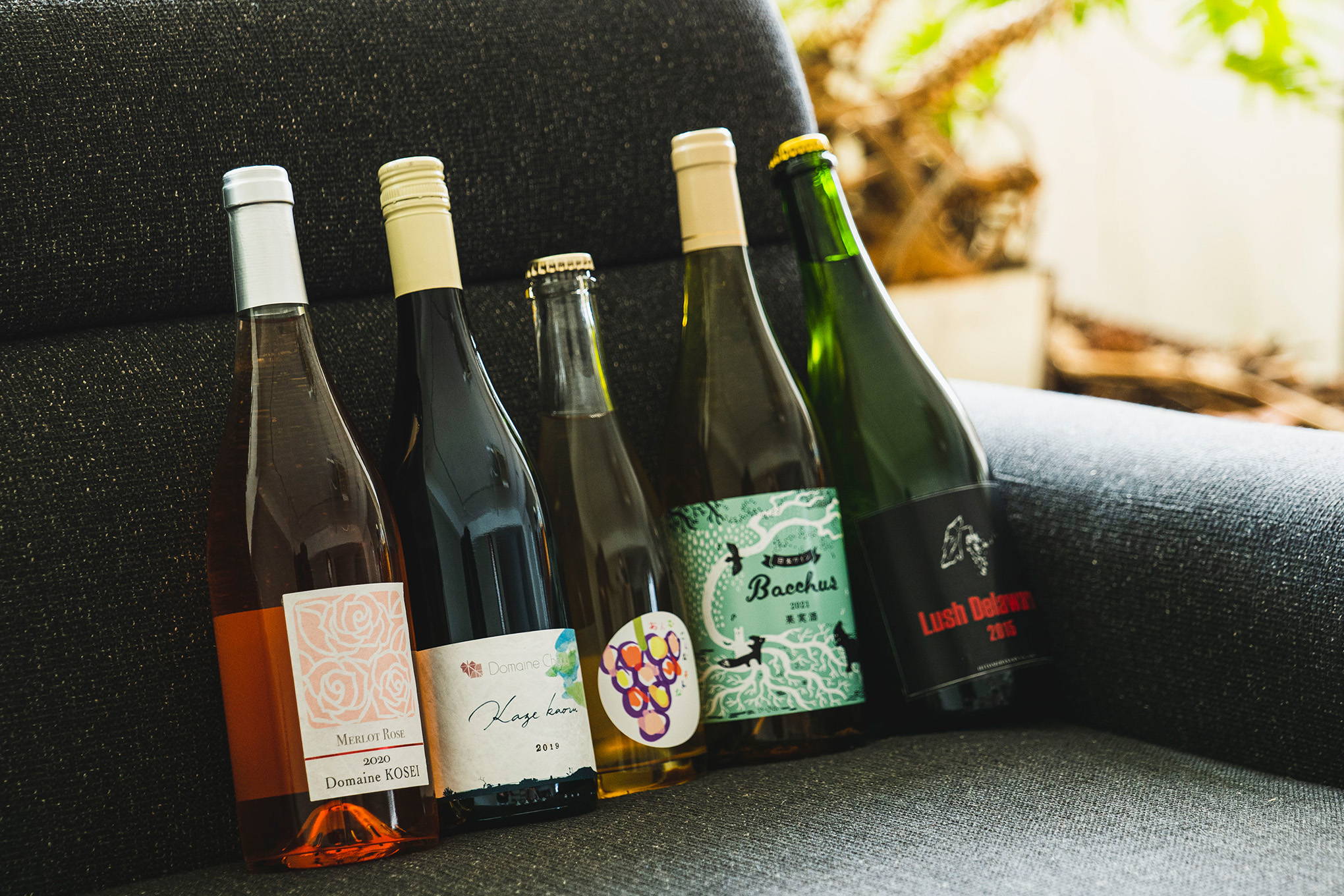 飲み手と造り手の物理的距離が近い、日本ワインならではの贅沢な楽しみ。濾過をせず、作りたてのうまみや味わいを残した無濾過のワインがブーム！