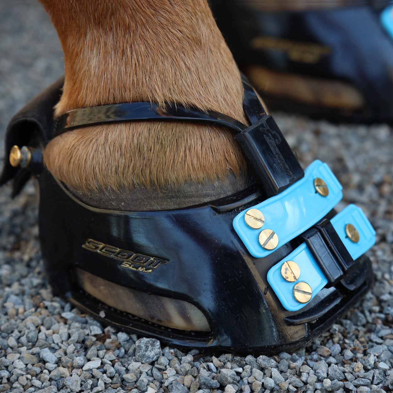 Scootboots hoof boots for barefoot horses Scoot classic with marine straps