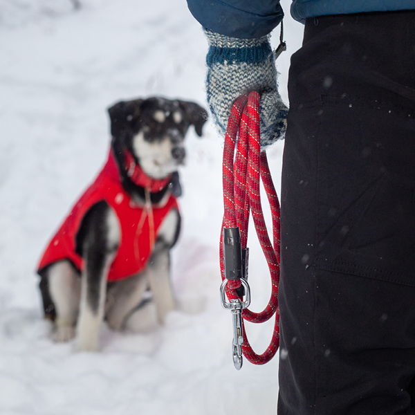 Person holding a leash with a dog in a red vest sitting in snow.