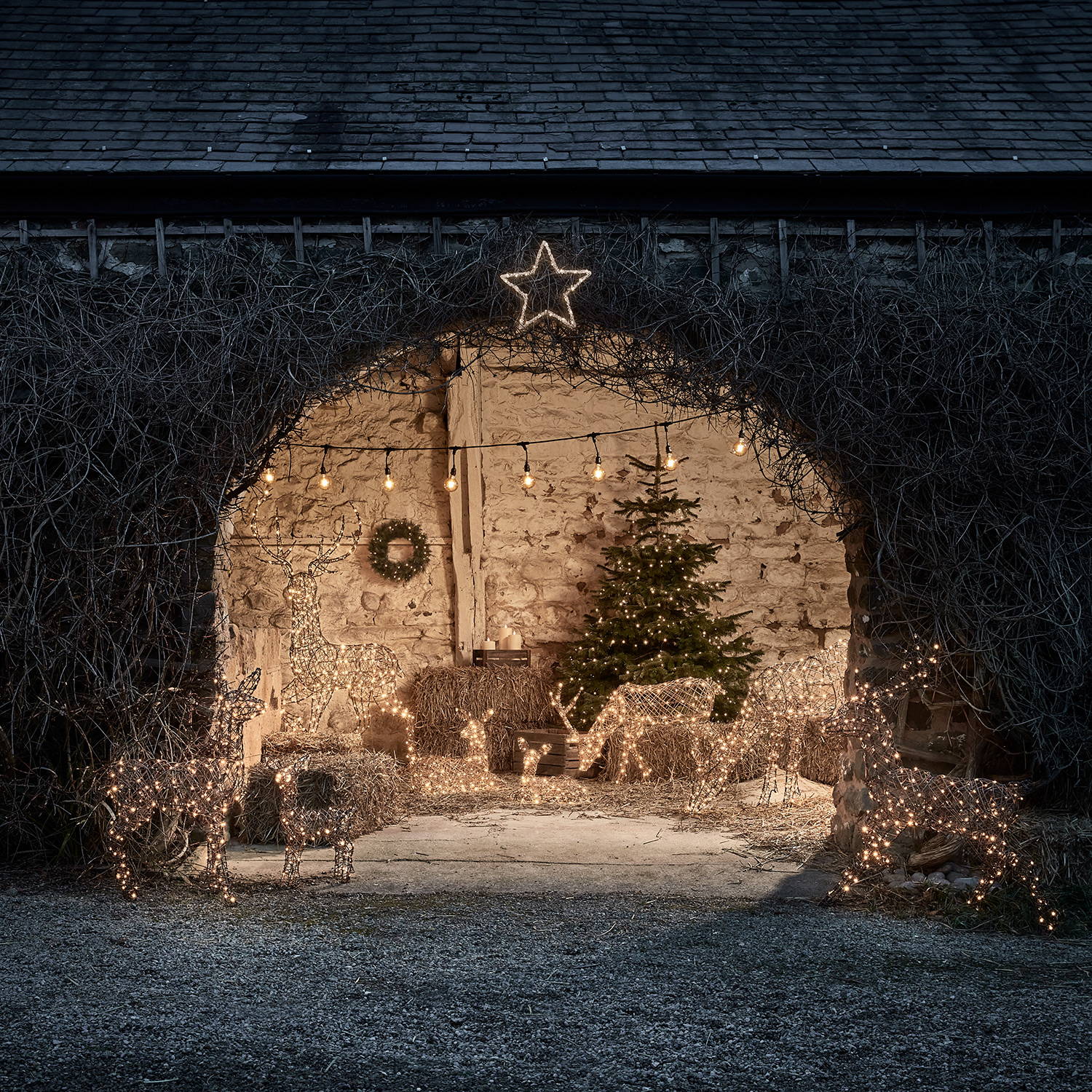 Complete Studley light up reindeer figures in an outdoor Christmas barn setting at night.