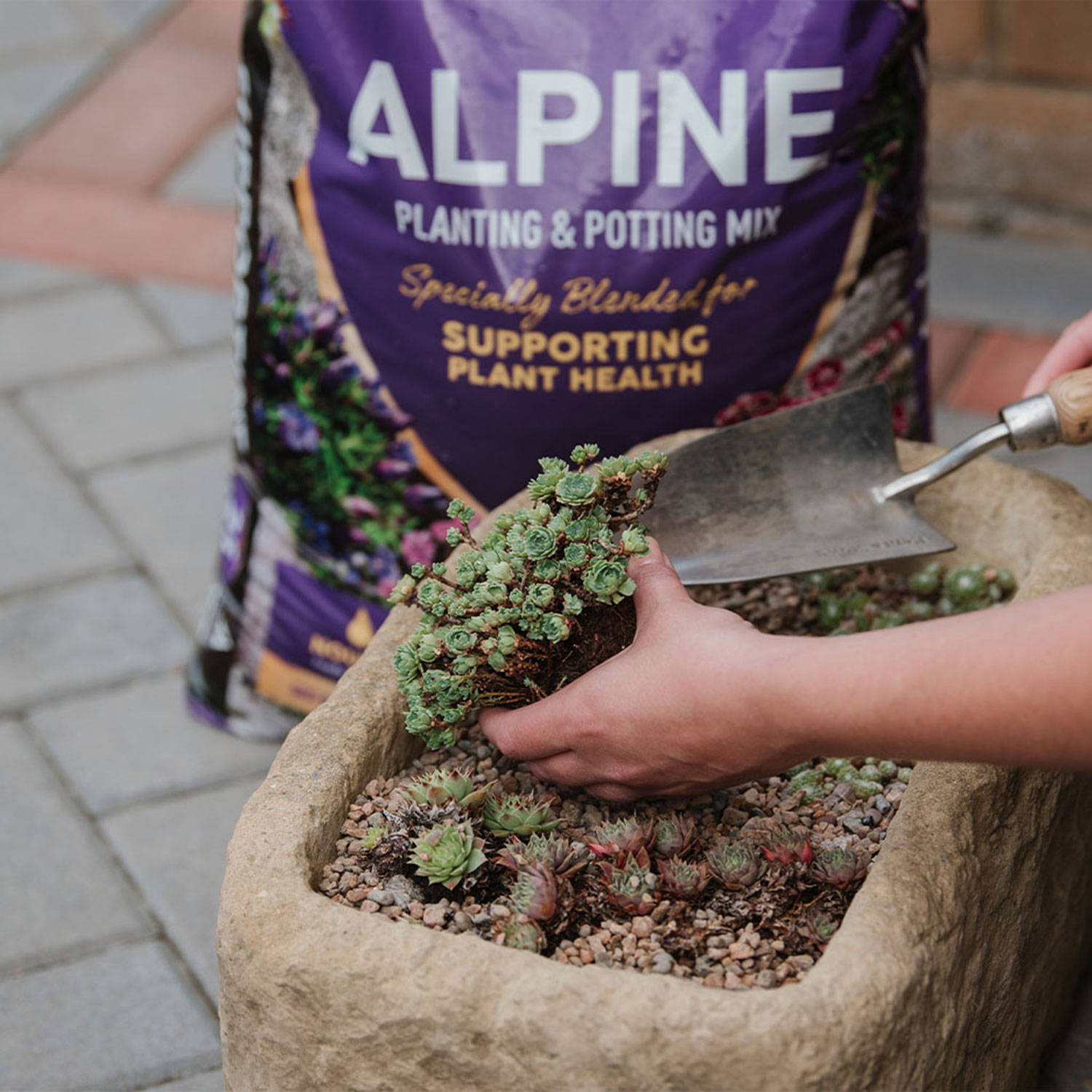 Alpine Plant Compost