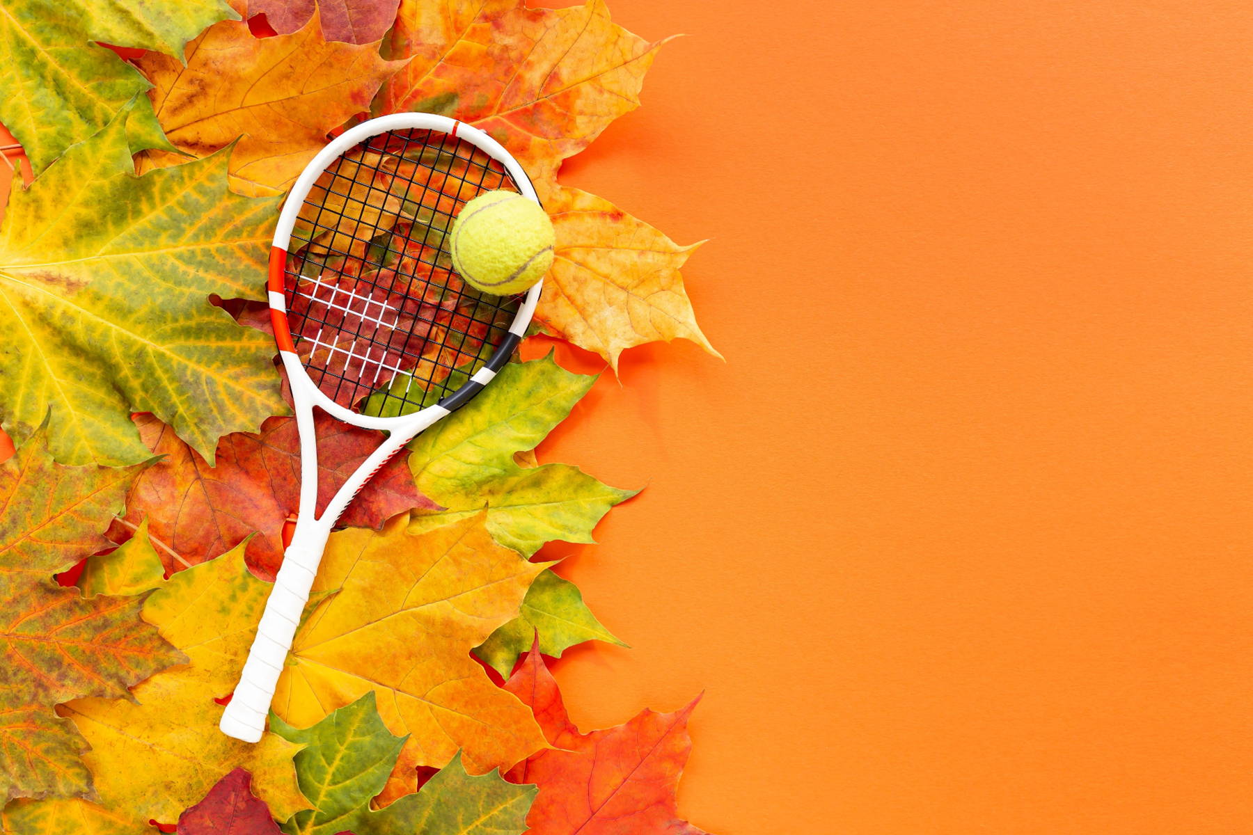 Fall Tennis Clearance Sale