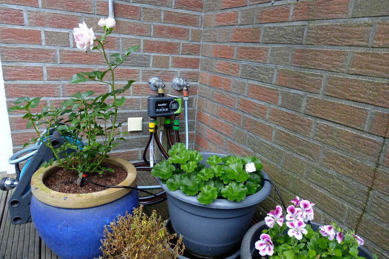 Potted plants on a patio against a brick wall.