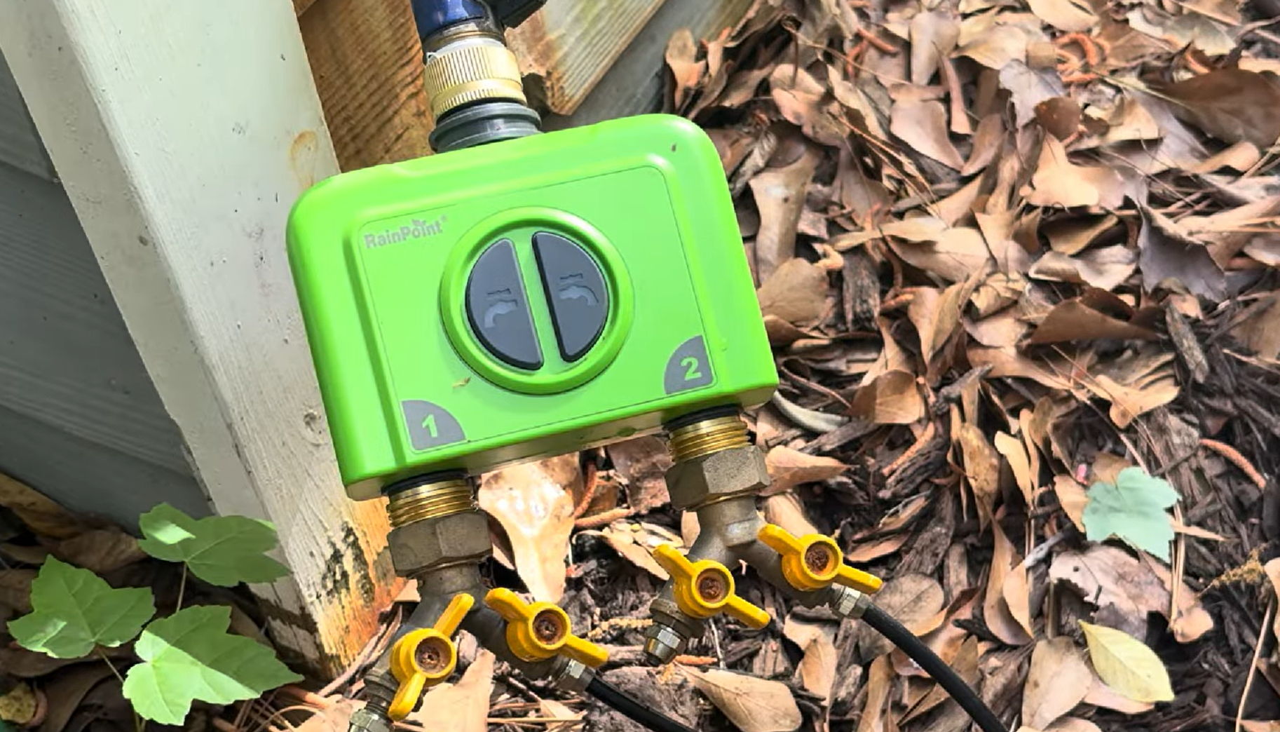 Green irrigation valve on a surface of brown leaves.