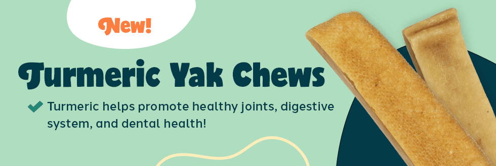 Photo of Turmeric Yak Chews against a green background. Text: New! Turmeric Yak Chews. Turmeric helps promote healthyjoints, digestive system, and dental health.