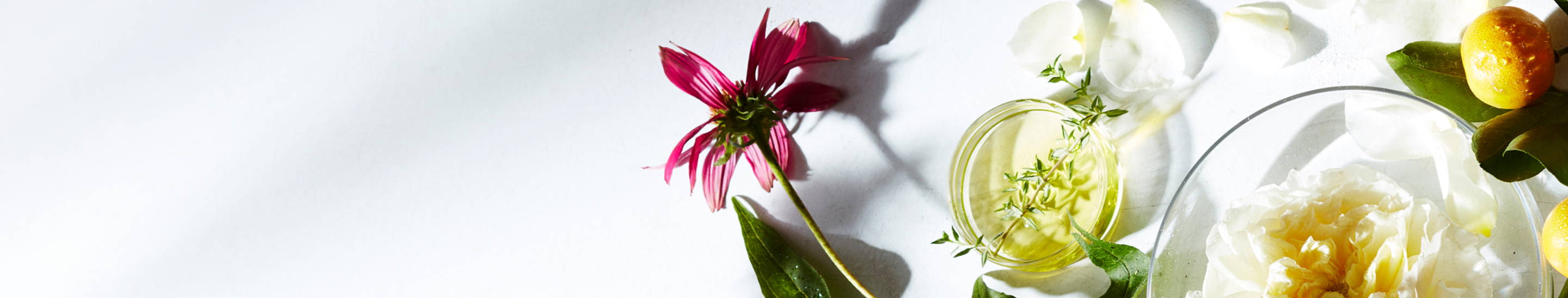 Natural ingredients laid on a table