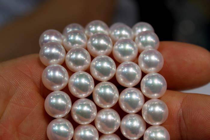 Akoya pearls