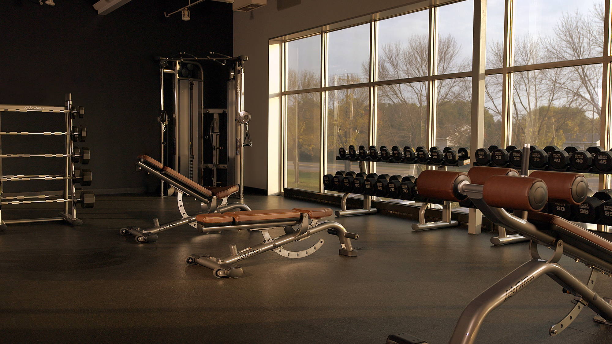 Life Fitness Benches and Racks