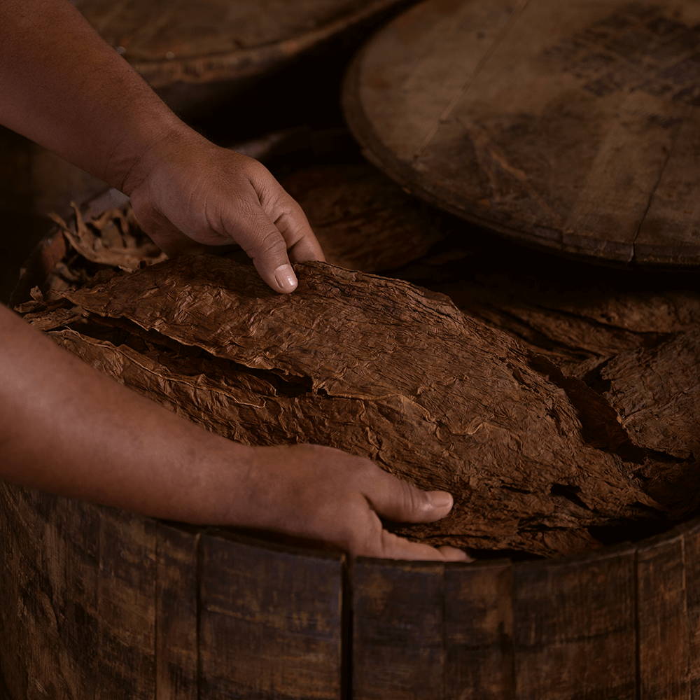 Tobacco leaves in the rum cask that get flipped.