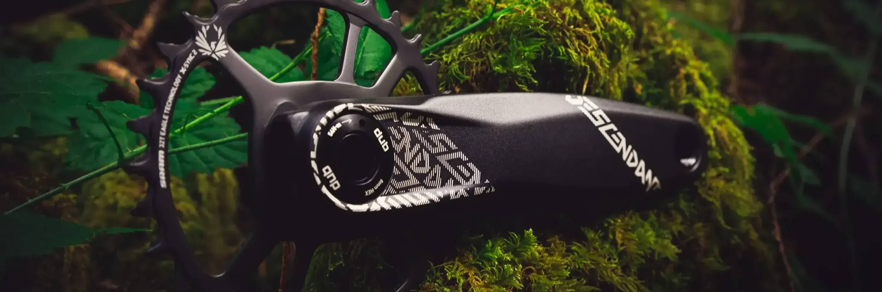 raceface descendant crankset with a sram x-sync chain ring sitting on a mossy log