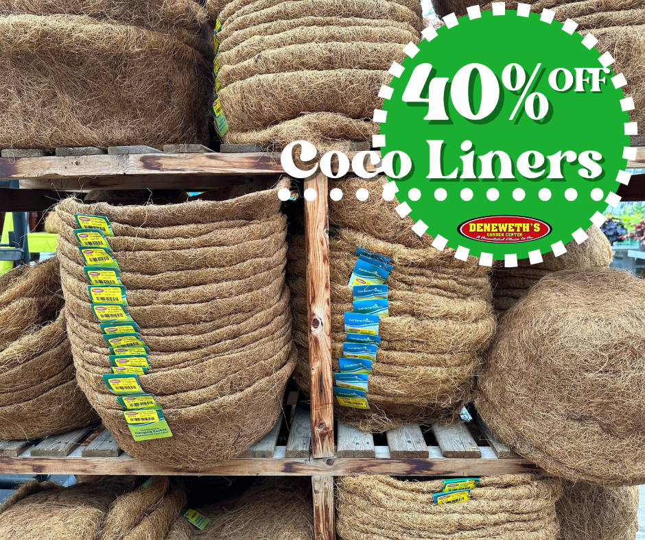 40% off Coco Liners