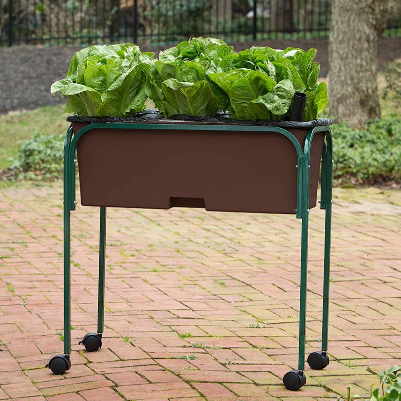 A brown EarthBox in our garden stand growing lettuce