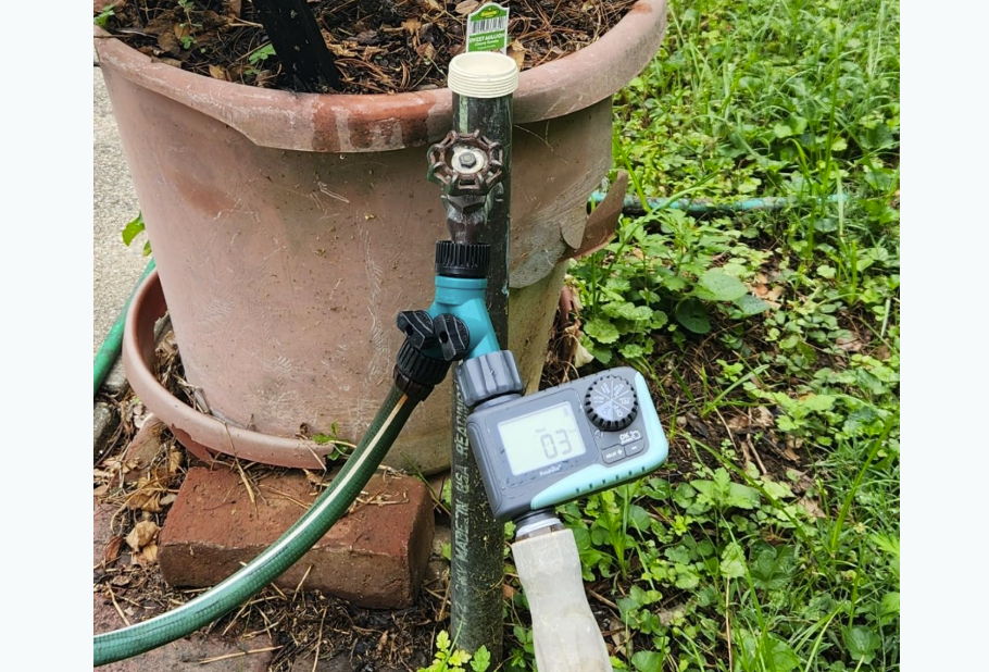 A garden hose connected to a potted plant with a timer attached.