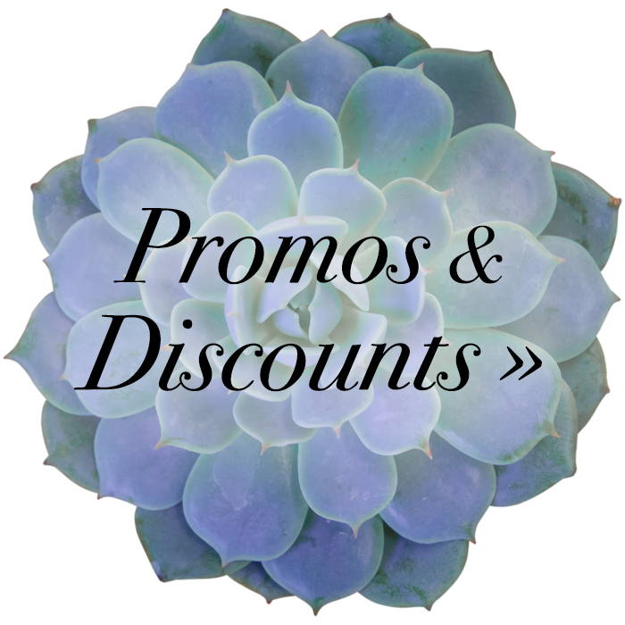 Promos & Discounts