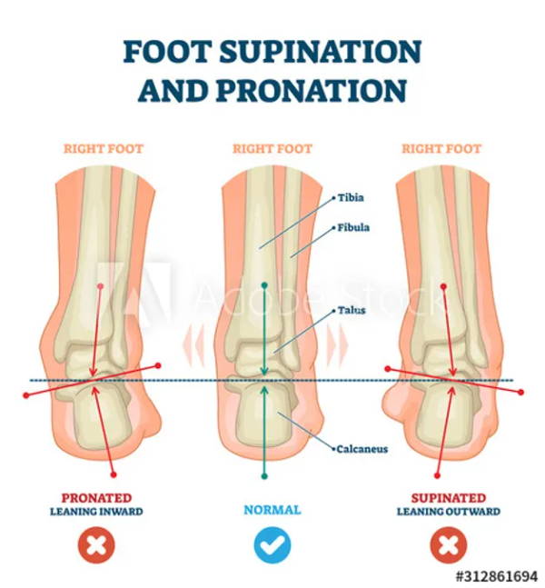 foot supination
