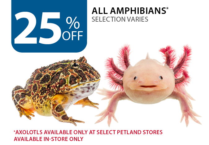 25% off all amphibians. Axolotls available only at select Petland stores. Available in-store only.