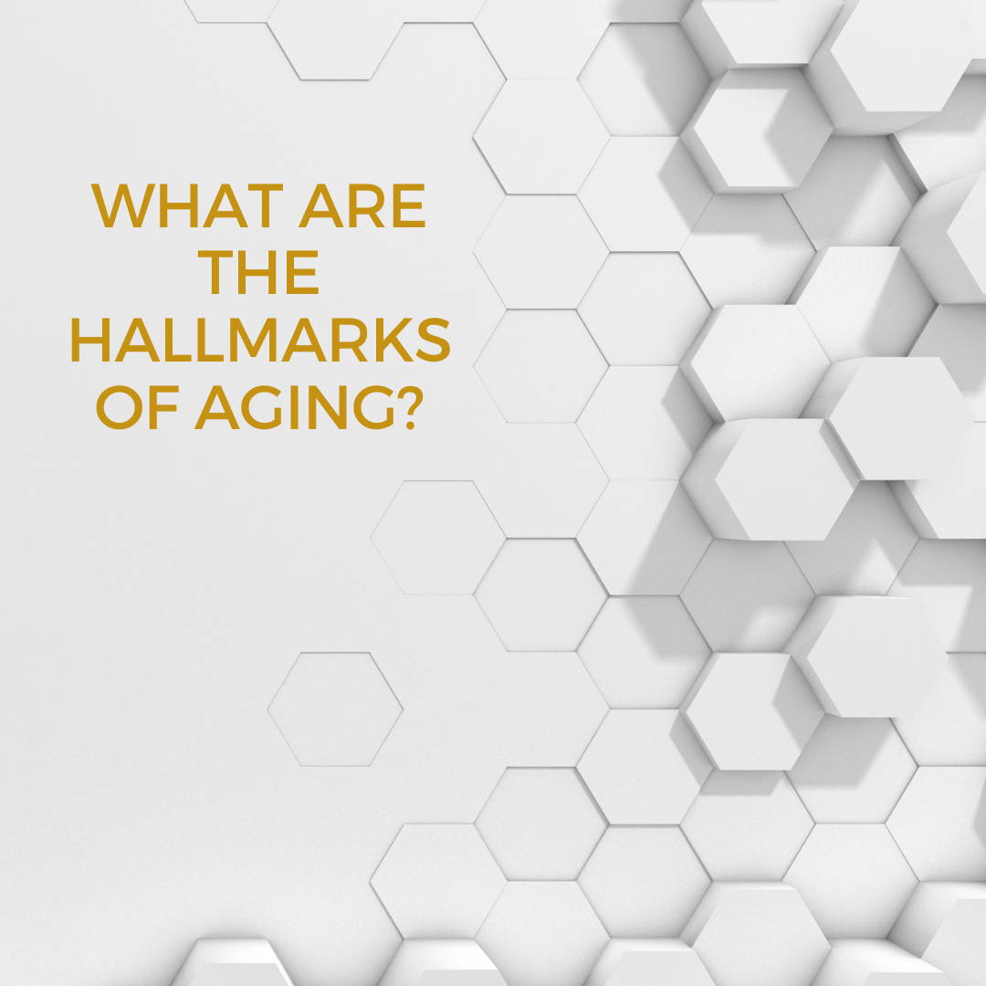What are the hallmarks of aging