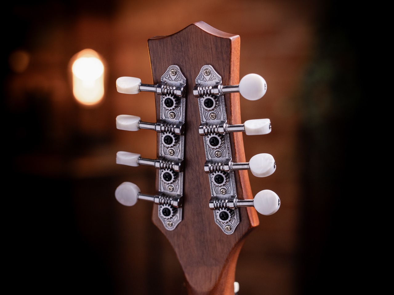 Close-up of mandolin headstock with sturdy, embellished tuning pegs.