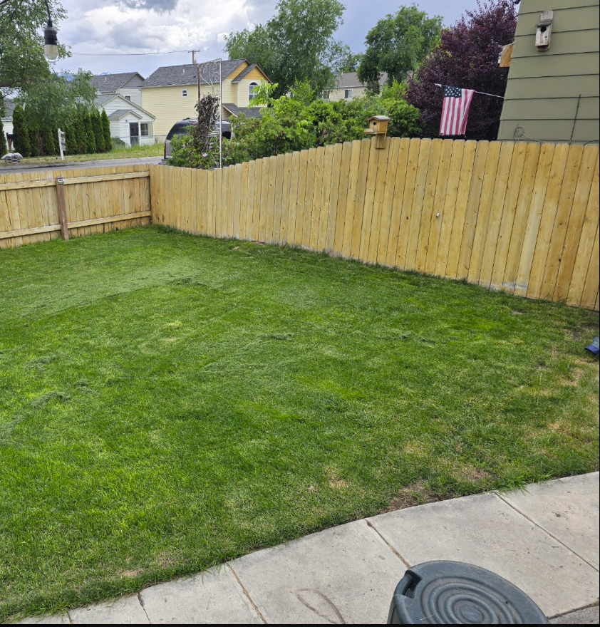 Green lawn enclosed by a wooden fence and cloudy sky.