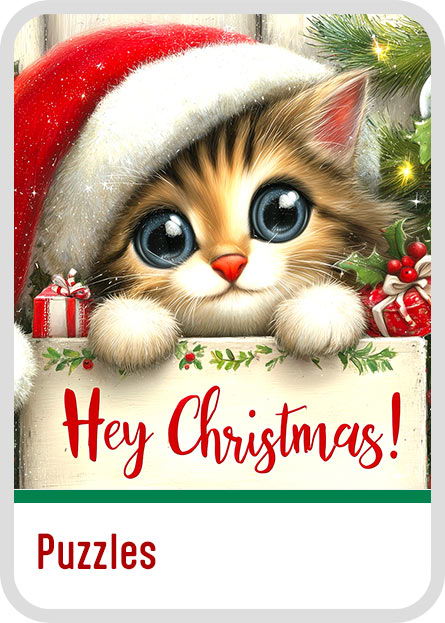 Cute kitten in a Santa hat with Christmas decorations and 