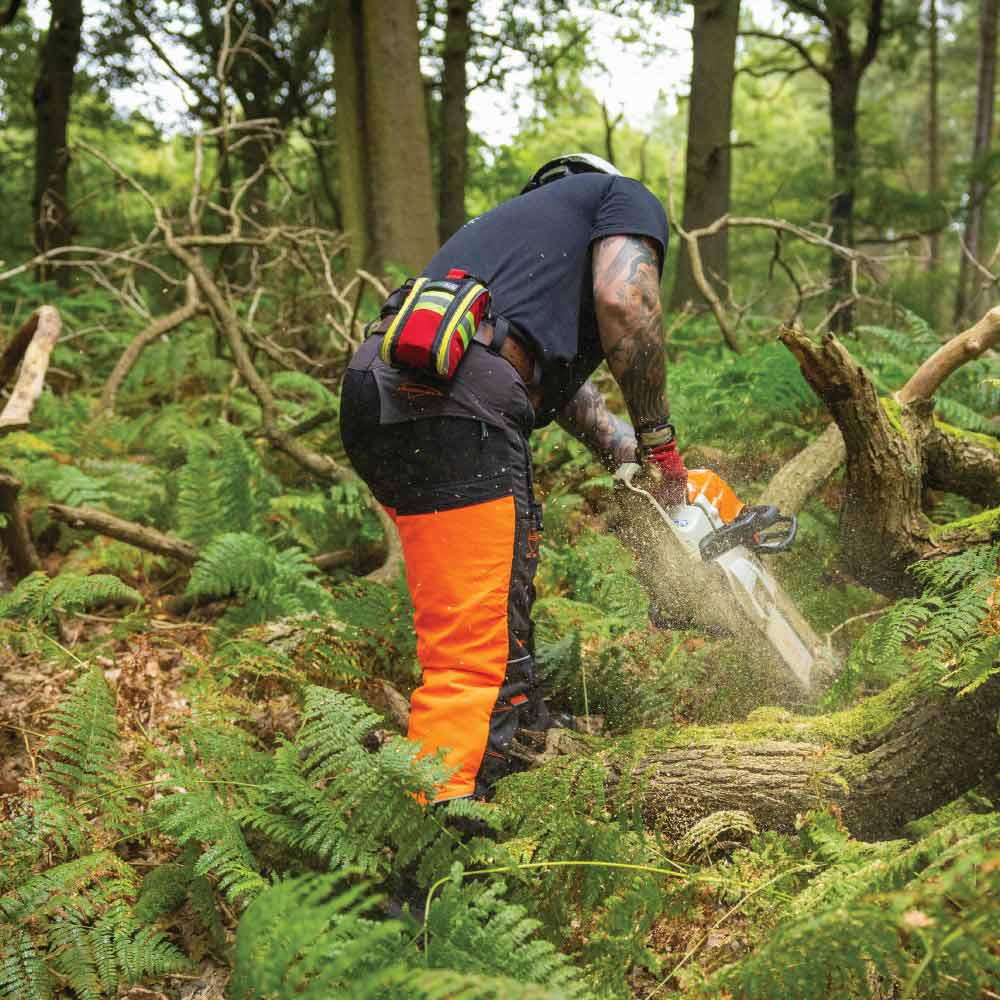 Person using a chainsaw to cut down trees in a forest.