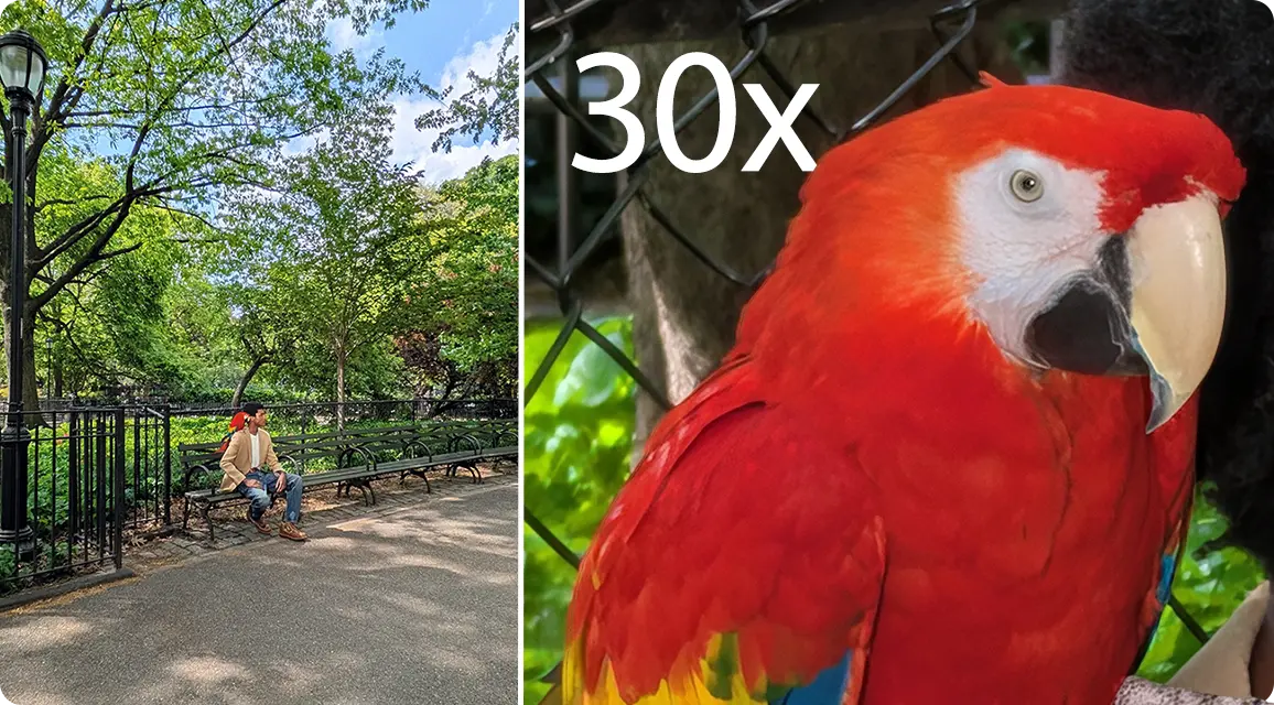 Person sitting on a bench beside a close-up of a colorful parrot.