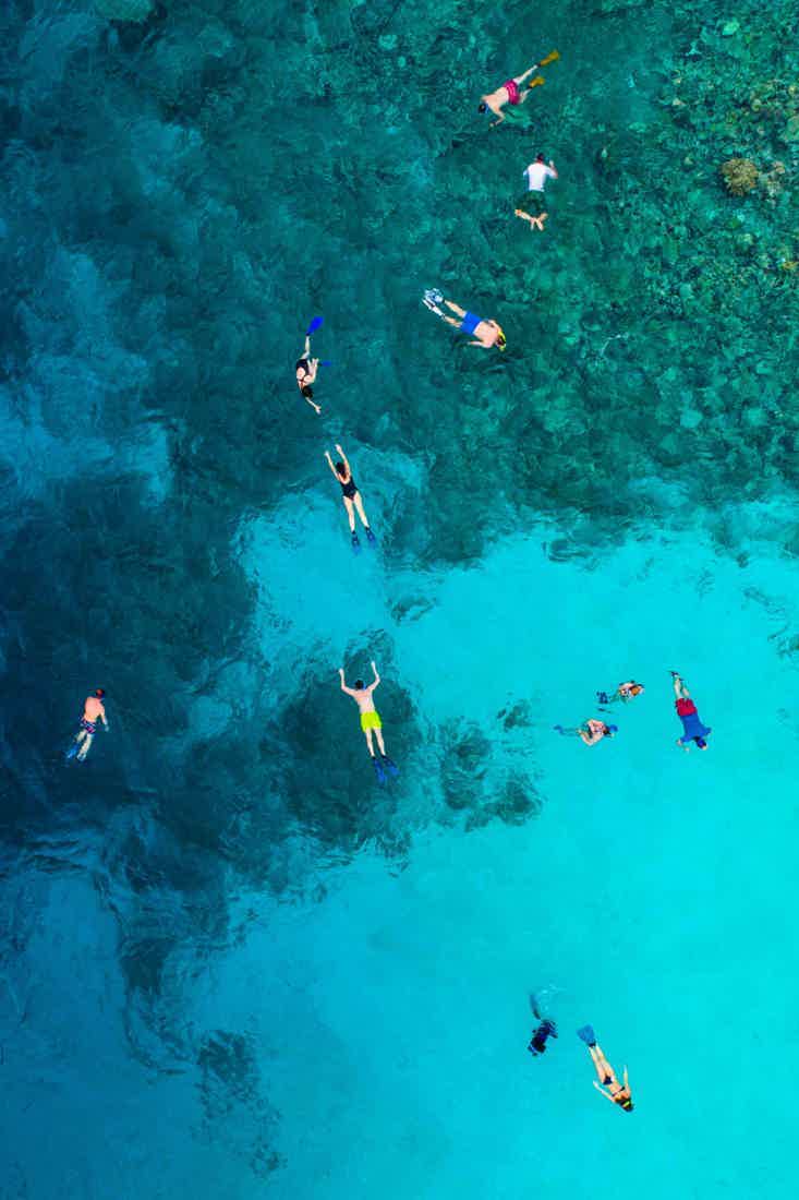 people swimming in clear waters