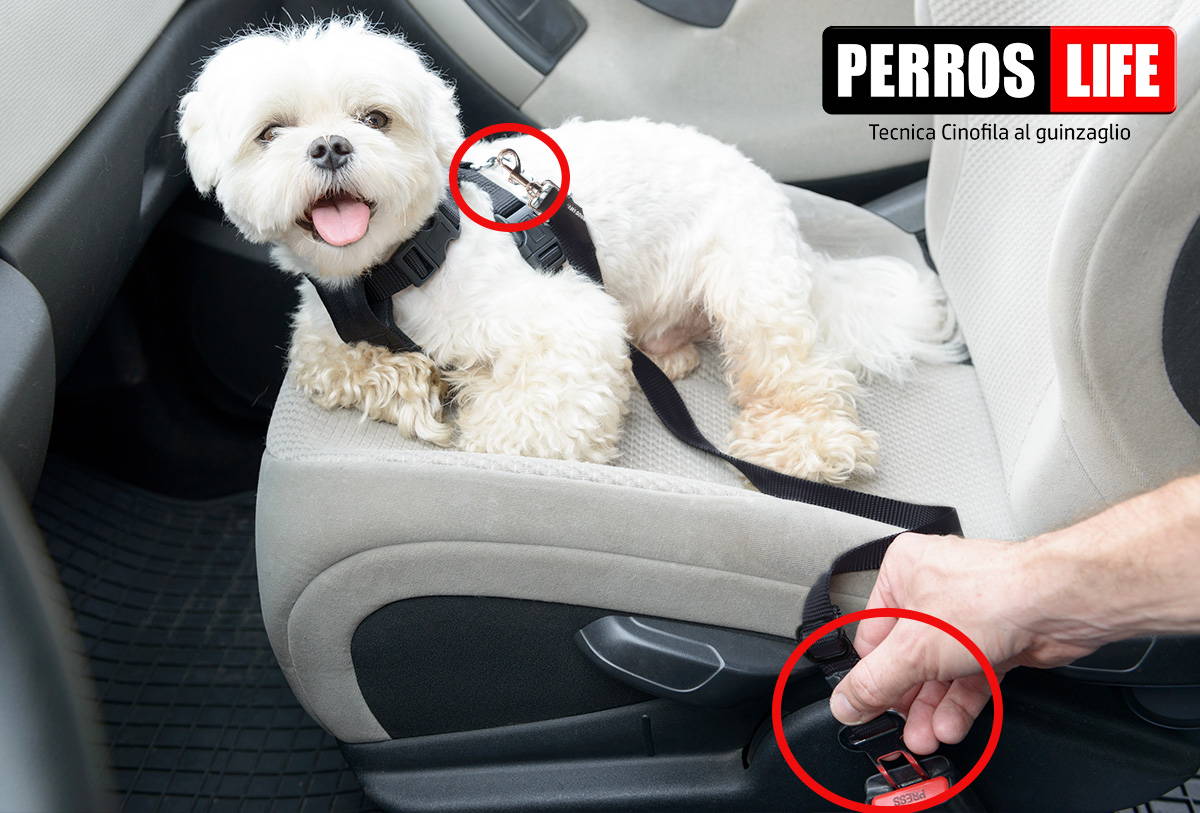 犬用 車用 PERROS シートベルトリード 使い方