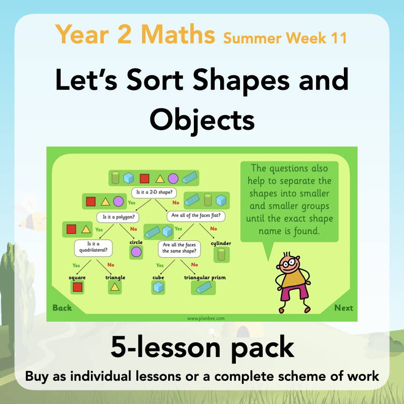 Year 2 Maths Curriculum - Let's Sort Shapes and Objects