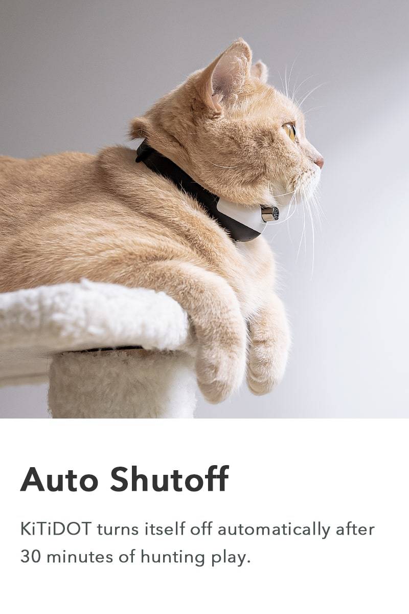 Auto Shutoff
