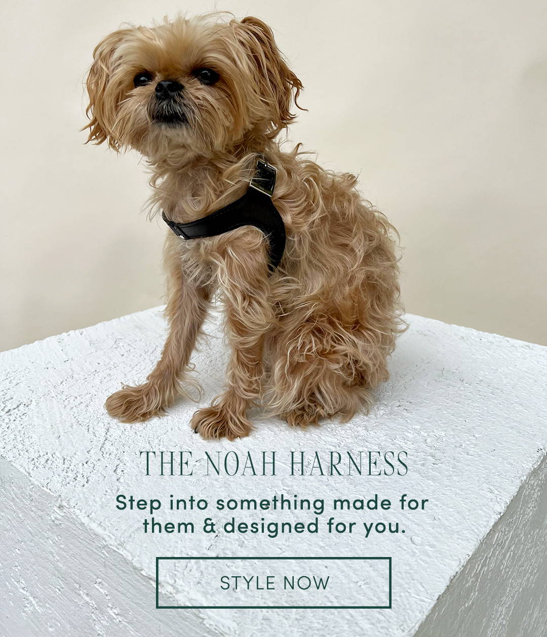 Shaya Pets Noah Harness