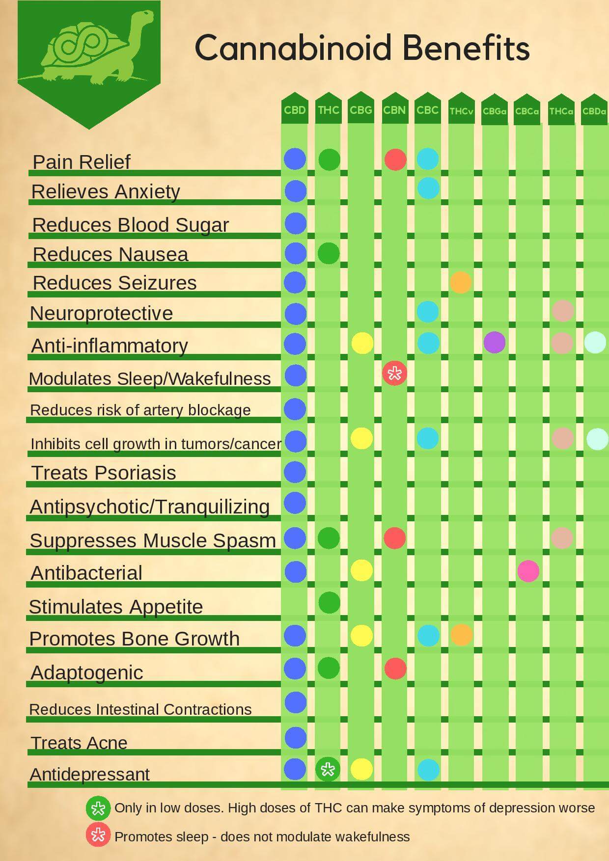 CBD Oil Benefits List and CBD Oil Effects Chart to Help Explain