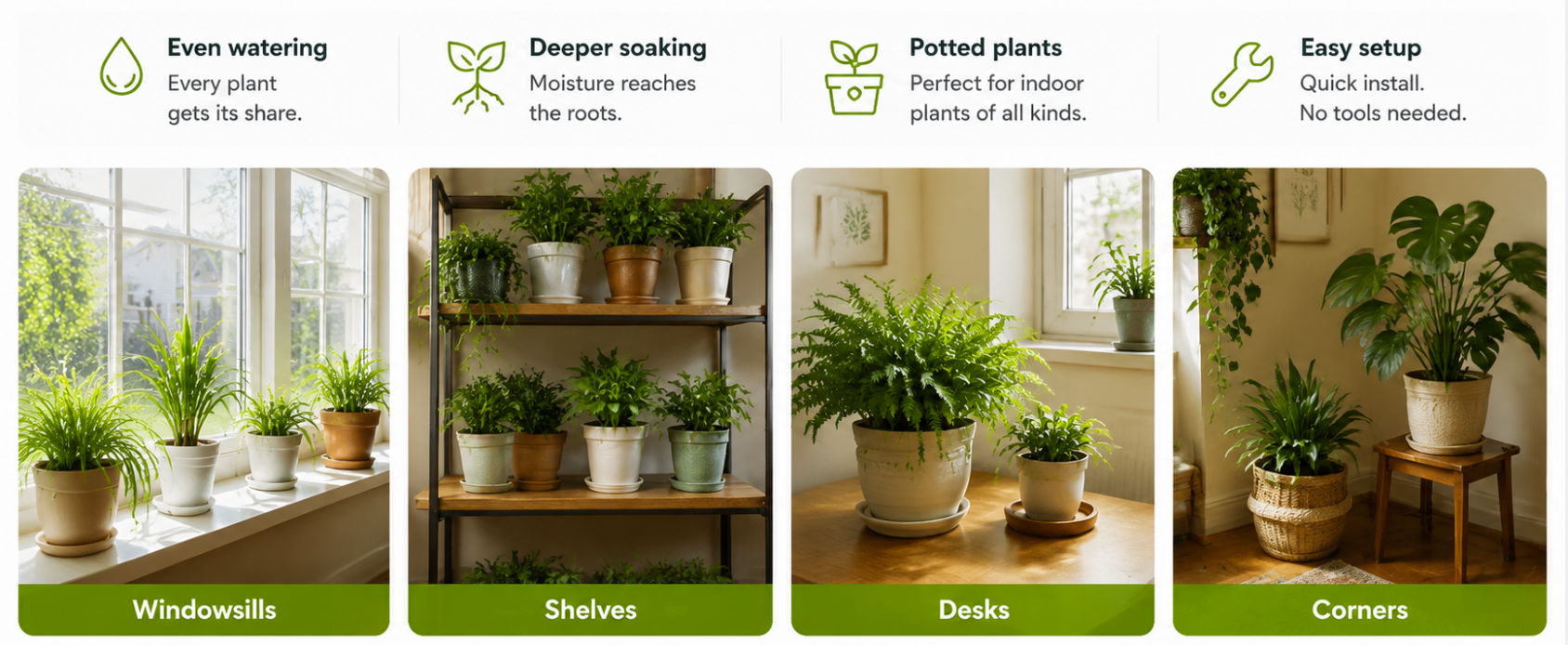 Four images of indoor plants with care tips and watering instructions.