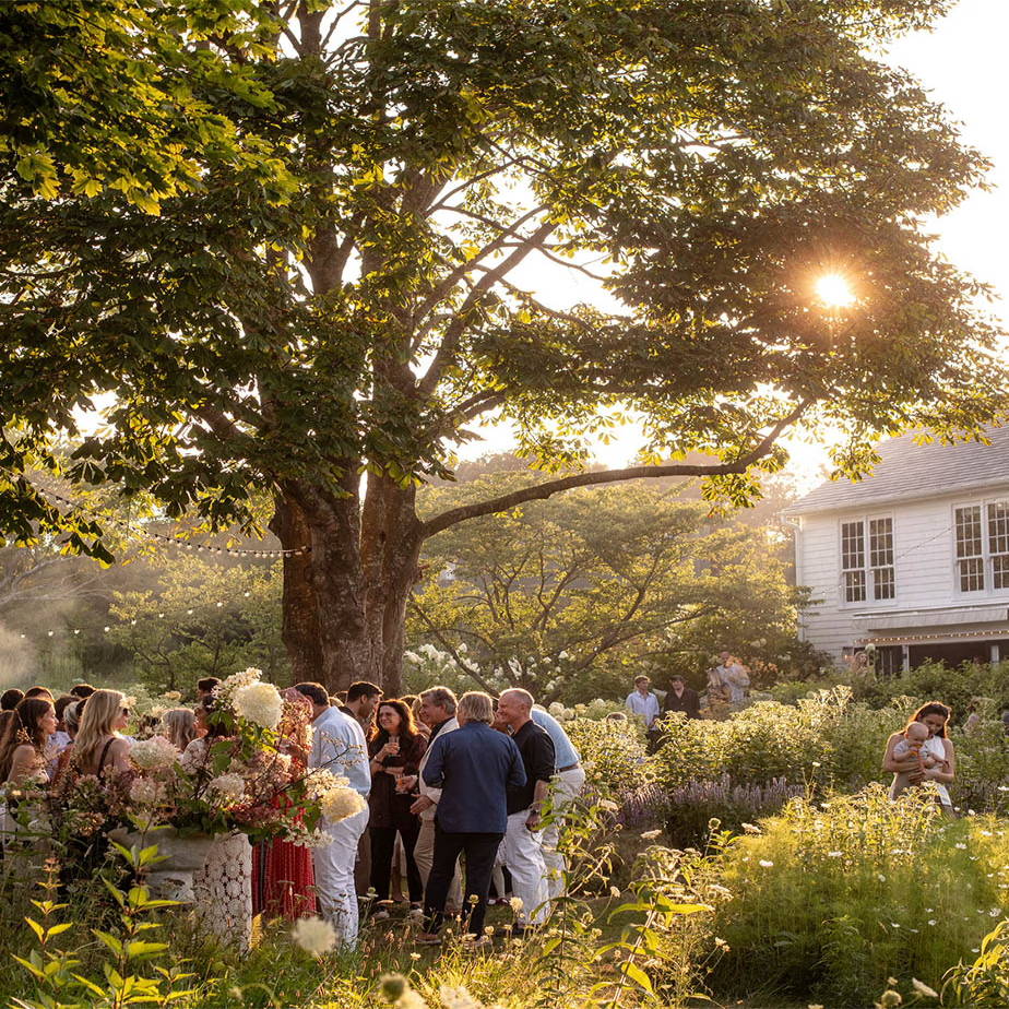 People gather in a garden during a sunny outdoor event.