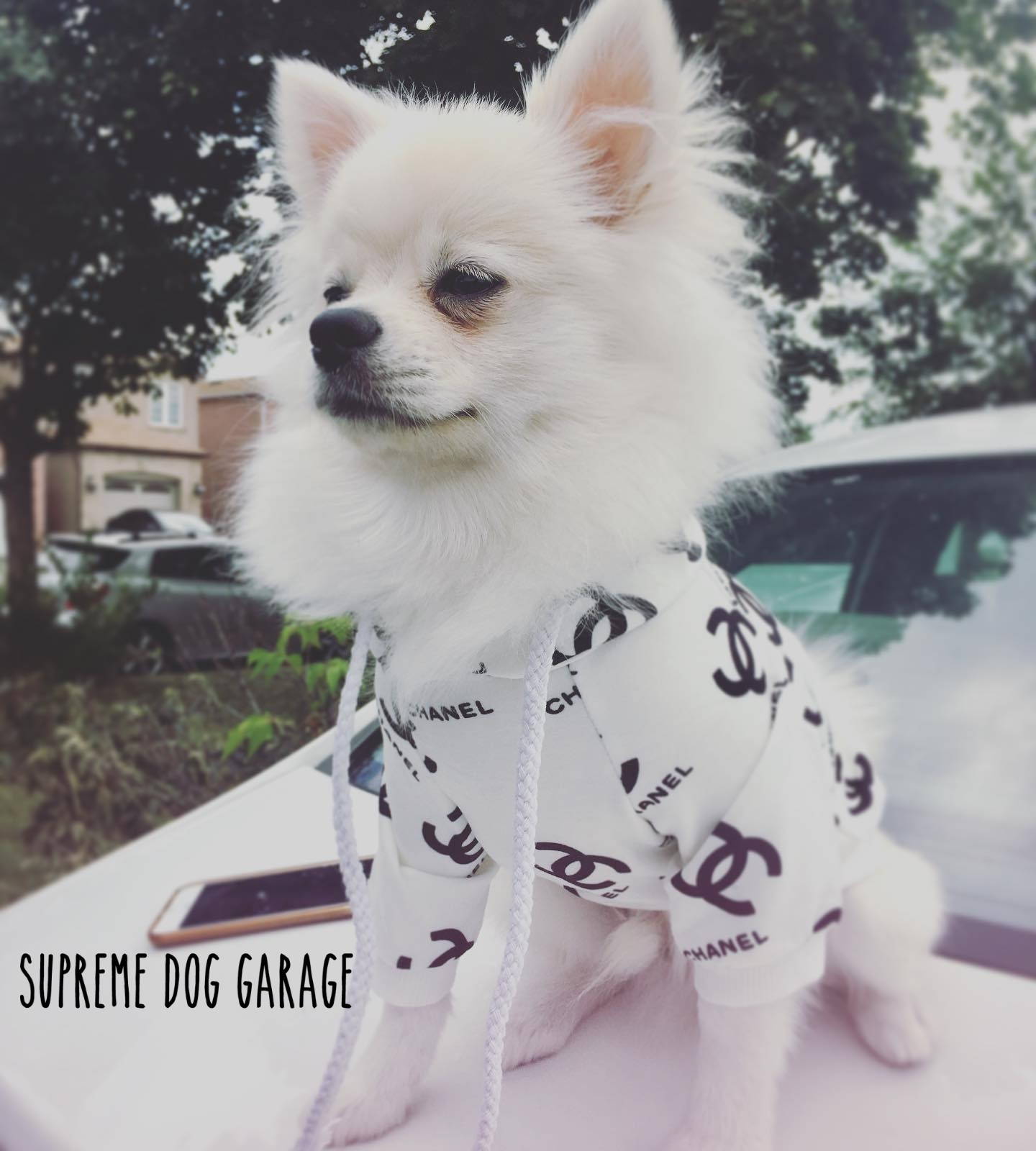 chanel dog collar for sale